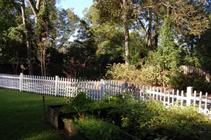 339 Charleston St SE, Aiken, SC 29801 - Photo 34