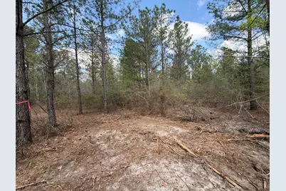 Cva 1 Mount Calvary Road #Cva 1, Ridge Spring, SC 29129 - Photo 4