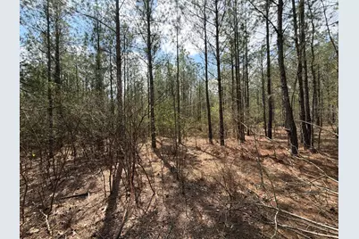 Cva 1 Mount Calvary Road #Cva 1, Ridge Spring, SC 29129 - Photo 14