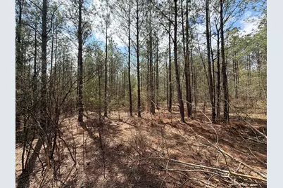 Cva 1 Mount Calvary Road #Cva 1, Ridge Spring, SC 29129 - Photo 18