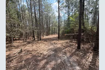 Cva 1 Mount Calvary Road #Cva 1, Ridge Spring, SC 29129 - Photo 42