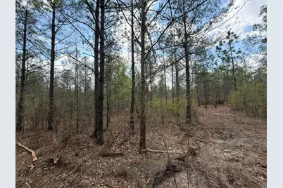 Cva 1 Mount Calvary Road #Cva 1, Ridge Spring, SC 29129 - Photo 22