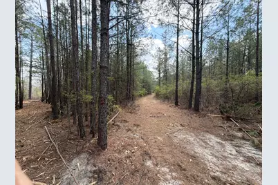 Cva 1 Mount Calvary Road #Cva 1, Ridge Spring, SC 29129 - Photo 12