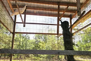 3561 Old 96 Indian Trail, Wagener, SC 29164 - Photo 22