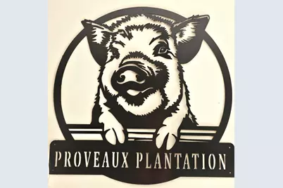 3561 Old 96 Indian Trail, Wagener, SC 29164 - Photo 40