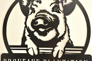 3561 Old 96 Indian Trail, Wagener, SC 29164 - Photo 40