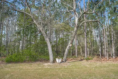 4097 Snaffle Bit Drive, Aiken, SC 29803 - Photo 46