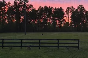 4097 Snaffle Bit Dr, Aiken, SC 29803 - Photo 56