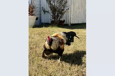 4097 Snaffle Bit Drive, Aiken, SC 29803 - Photo 82