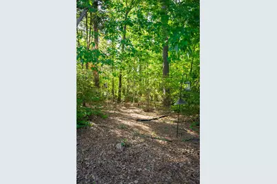 259 Forest Pines Road, Aiken, SC 29803 - Photo 38