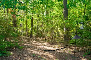 259 Forest Pines Rd, Aiken, SC 29803 - Photo 38