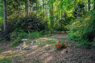 259 Forest Pines Rd, Aiken, SC 29803 - Photo 34