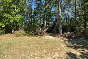 976 Watsonia Dr, Aiken, SC 29803 - Photo 38