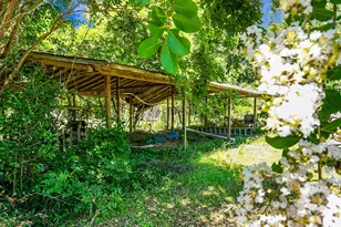 4512 Carolina Hwy, Denmark, SC 29042 - Photo 46