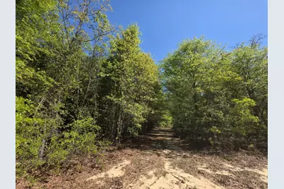 32A Briarwood Drive, Williston, SC 29853 - Photo 2