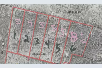 Lot 6 Briarwood Drive, Williston, SC 29853 - Photo 2