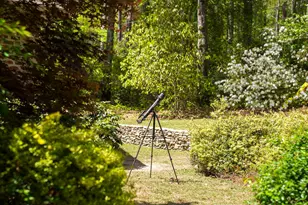 1929 Dibble Rd S W, Aiken, SC 29801 - Photo 56