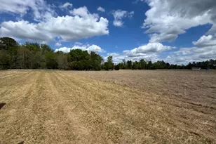 000 New Holland Rd, Wagener, SC 29164 - Photo 4