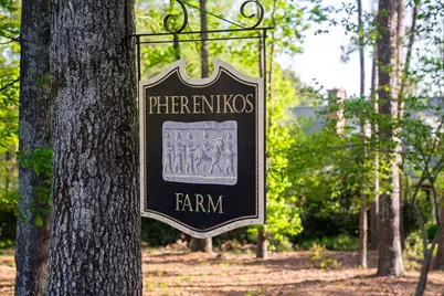 275 Homeward Bound Drive, North Augusta, SC 29860 - Photo 2