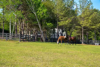 275 Homeward Bound Drive, North Augusta, SC 29860 - Photo 78