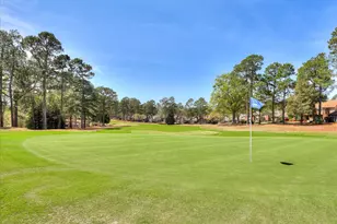 100 White Willow Pl, Aiken, SC 29803 - Photo 60