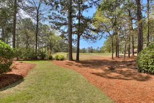 100 White Willow Pl, Aiken, SC 29803 - Photo 58