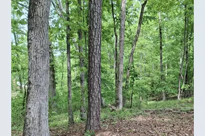 000-A Hummingbird Drive, Trenton, SC 29847 - Photo 8