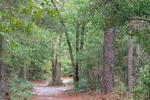 2066 Joyner Pond Rd, Aiken, SC 29803 - Photo 62