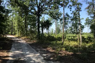 2066 Joyner Pond Rd, Aiken, SC 29803 - Photo 66