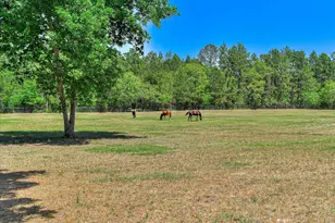 2066 Joyner Pond Rd, Aiken, SC 29803 - Photo 48
