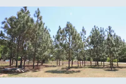 6227 Hollow Creek Road, Salley, SC 29137 - Photo 20