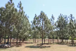 6227 Hollow Creek Rd, Salley, SC 29137 - Photo 20