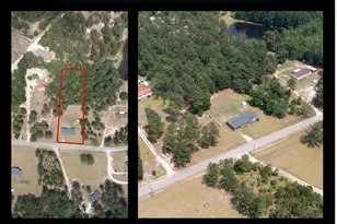 460 Archie Ware Rd, Ridge Spring, SC 29129 - Photo 32