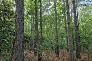 3A Woodberry Rd, North Augusta, SC 29841 - Photo 1