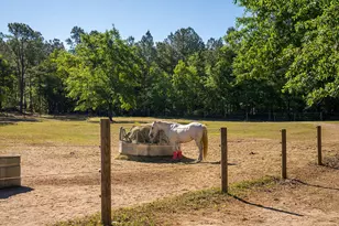 177 Muddy Branch Rd, Aiken, SC 29805 - Photo 26