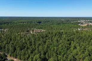 0000 Mt Zion Rd, Trenton, SC 29847 - Photo 1