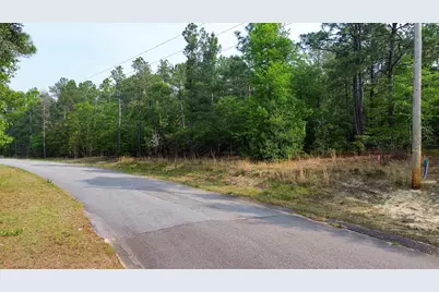 0000 Mt Zion Road #3, Trenton, SC 29847 - Photo 2