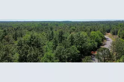 0000 Mount Zion Road #5, Trenton, SC 29847 - Photo 4