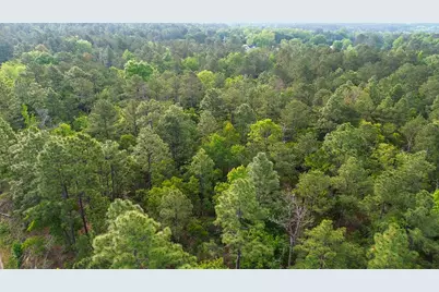 0000 Mount Zion Road #5, Trenton, SC 29847 - Photo 16