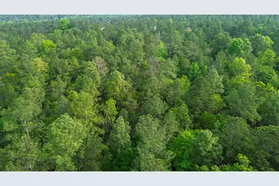 0000 Mount Zion Road #5, Trenton, SC 29847 - Photo 14