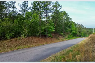 0000 Mount Zion Road #5, Trenton, SC 29847 - Photo 2