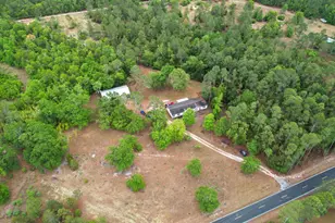 676 Mt Calvary Rd, Ridge Spring, SC 29129 - Photo 24