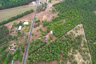 676 Mt Calvary Rd, Ridge Spring, SC 29129 - Photo 26