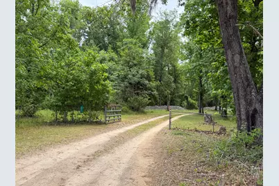 209 Verdi Lane, Springfield, SC 29146 - Photo 4