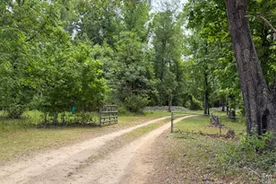 209 Verdi Ln, Springfield, SC 29146 - Photo 4