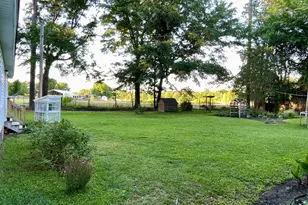 2166 Healing Springs Rd, Blackville, SC 29817 - Photo 40