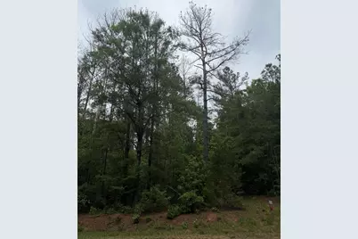Tbd Pine Valley Drive, Edgefield, SC 29824 - Photo 1