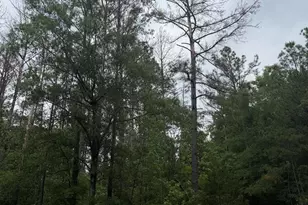 Tbd Pine Valley Dr, Edgefield, SC 29824 - Photo 1