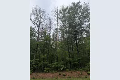 Tbd Pine Valley Drive, Edgefield, SC 29824 - Photo 2