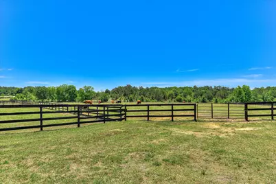 929 Airport Road, Johnston, SC 29832 - Photo 78